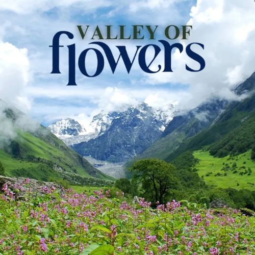 Valley of Flowers Trek 2025: Complete Itinerary, Best Time & Difficulty Guide